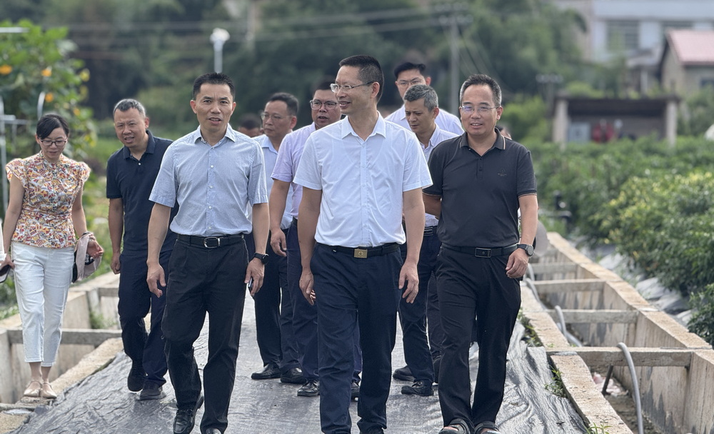 省农业农村厅副厅长马艳青赴湖南兴蔬种业有限公司检查安全生产工作